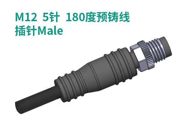 M12  5針  180度預鑄線